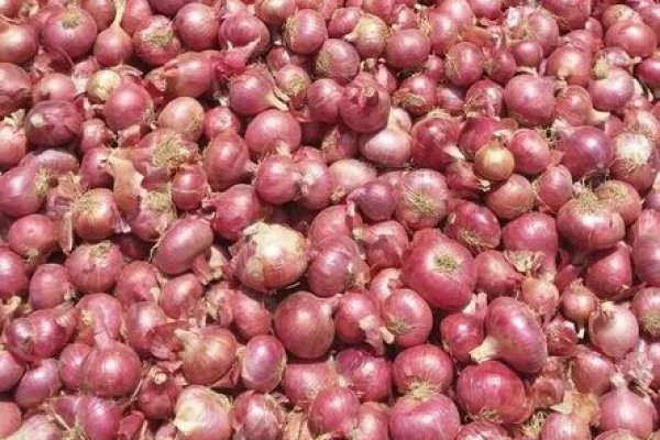 dark market onion